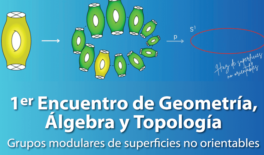 1er Encuentro de Geometría, Álgebra y Topología (GATO): Grupos Modulares de Superficies No Orientables